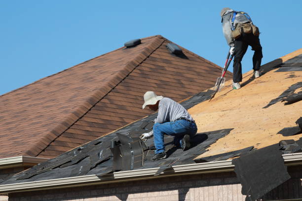 Best Roof Leak Repair  in Shelton, NE