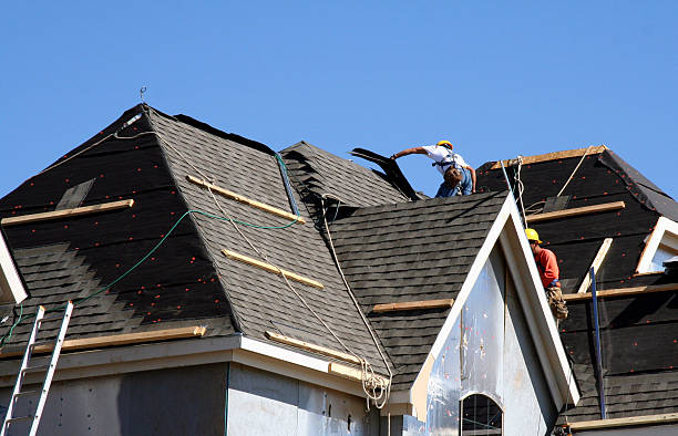 Best Roof Ventilation Installation  in Shelton, NE